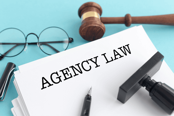 Agency Law - Introduction